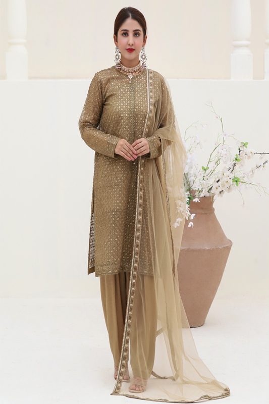 Beige Organza Embroidered Suit - 3PC