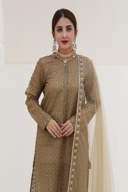 Beige Organza Embroidered Suit - 3PC