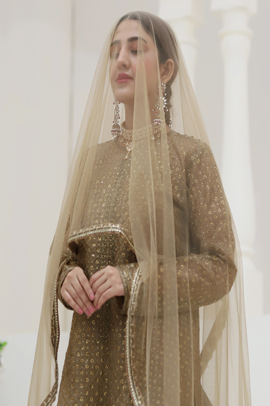 Beige Organza Embroidered Suit - 3PC