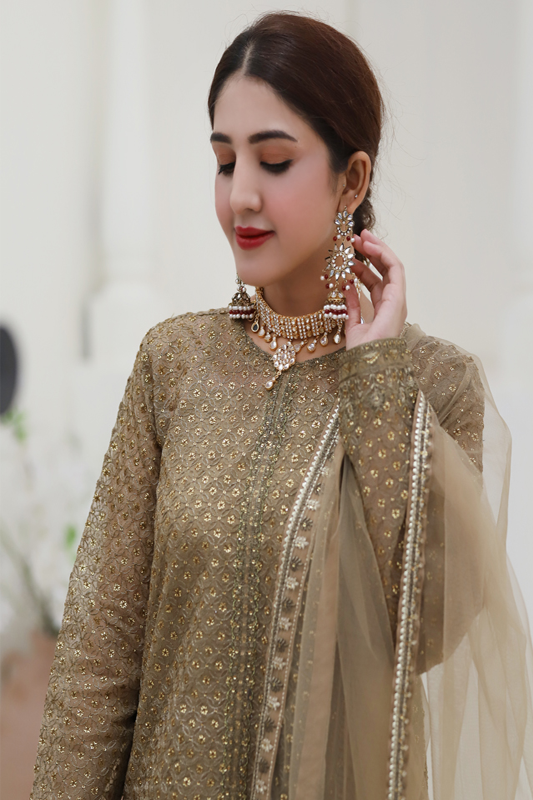 Beige Organza Embroidered Suit - 3PC