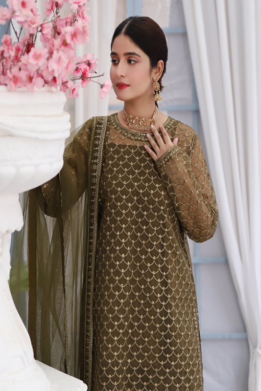 Henna Organza Embroidered Suit - 3PC