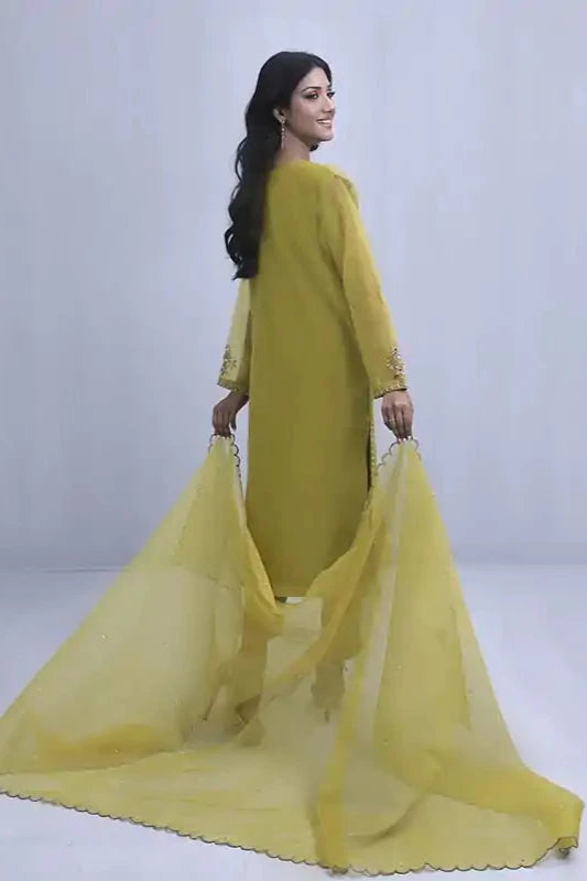 Golden Organza Embroidered Suit - 3PC