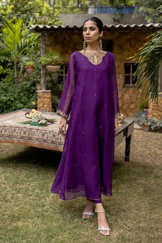 Egg Plant Cotton Net Embroidered Suit - 2PC