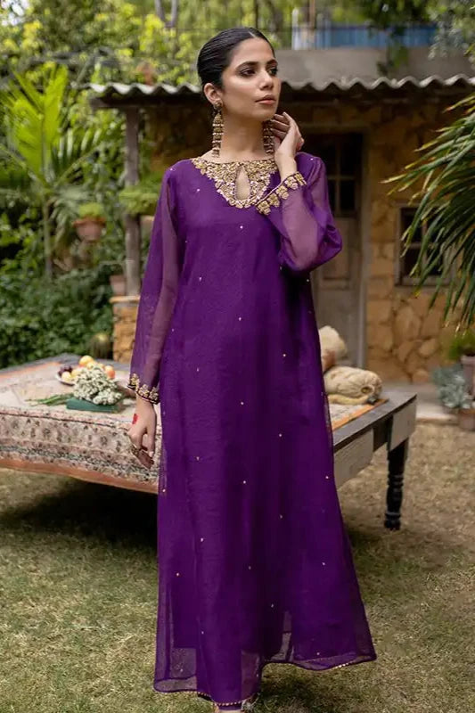 Egg Plant Cotton Net Embroidered Suit - 2PC