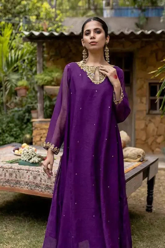 Egg Plant Cotton Net Embroidered Suit - 2PC
