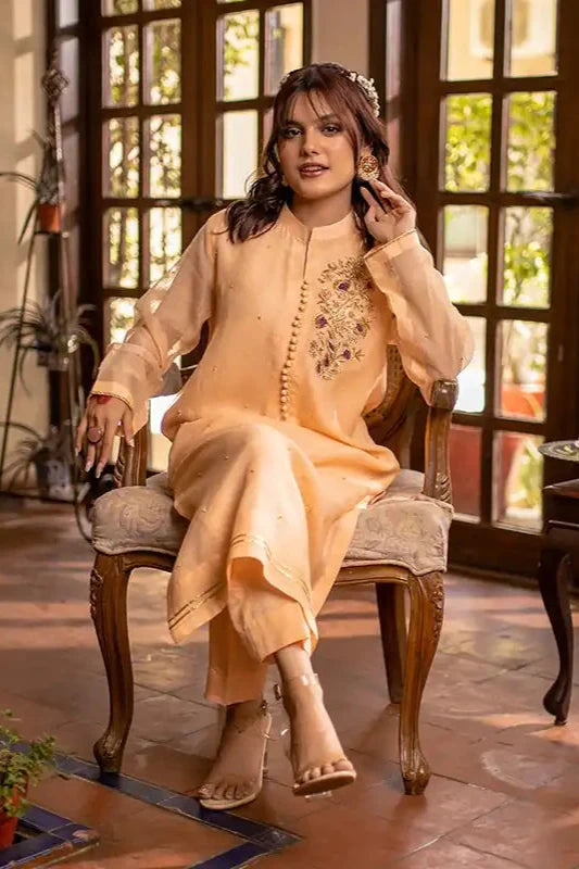 Peach Cotton Net Embroidered Suit - 2PC