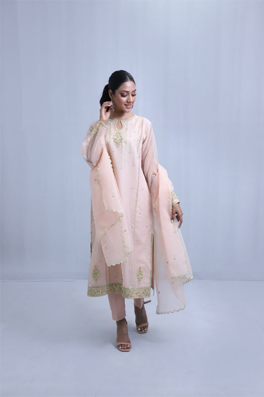 Light Pink Organza Suit - 3PC