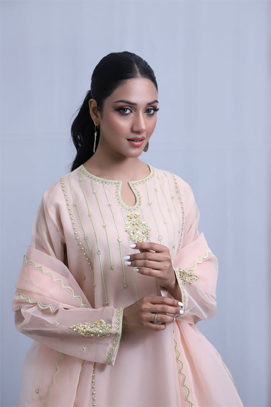 Light Pink Organza Suit - 3PC