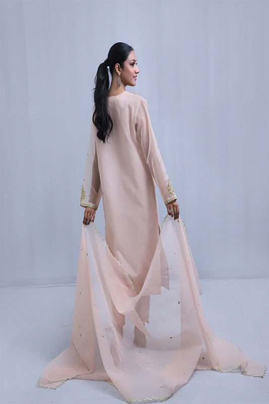 Light Pink Organza Suit - 3PC
